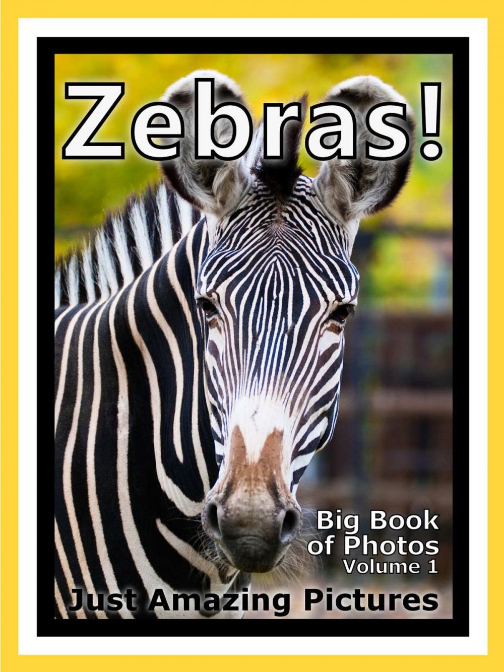 Big bigCover of Just Zebra Photos! Big Book of Photographs & Pictures of Zebras, Vol. 1