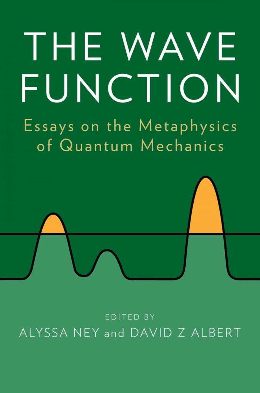 Big bigCover of The Wave Function