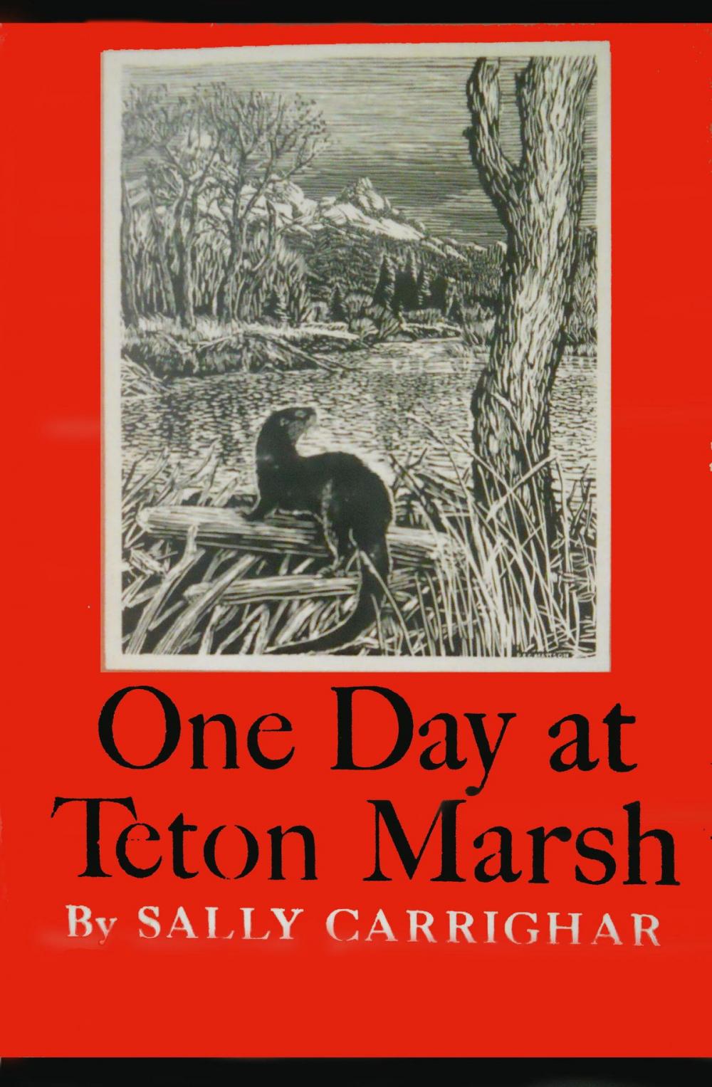 Big bigCover of One Day At Teton Marsh
