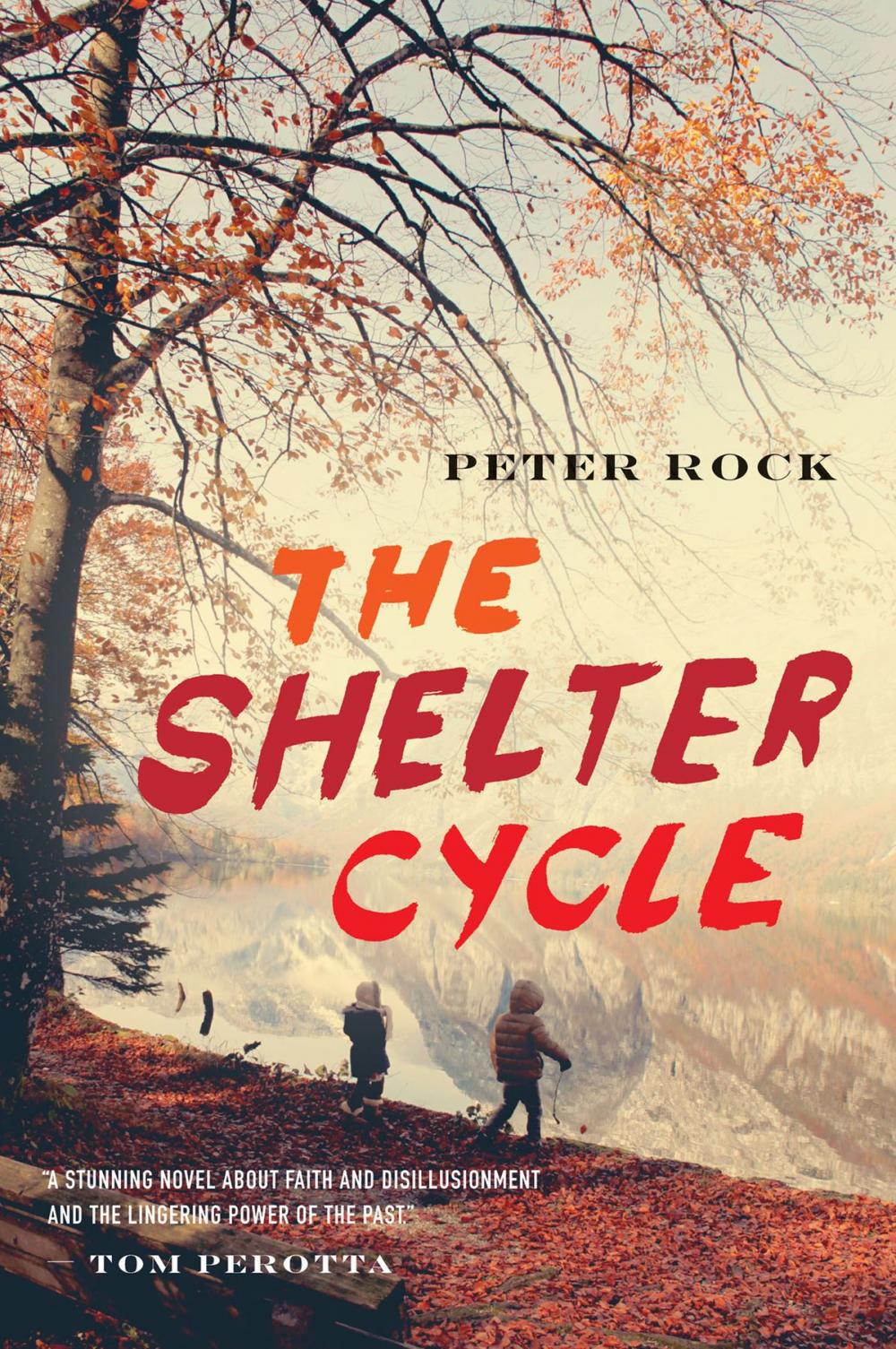Big bigCover of The Shelter Cycle