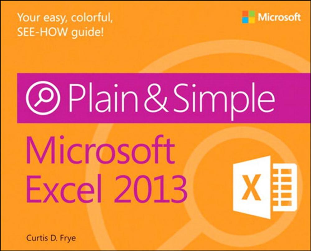 Big bigCover of Microsoft Excel 2013 Plain & Simple