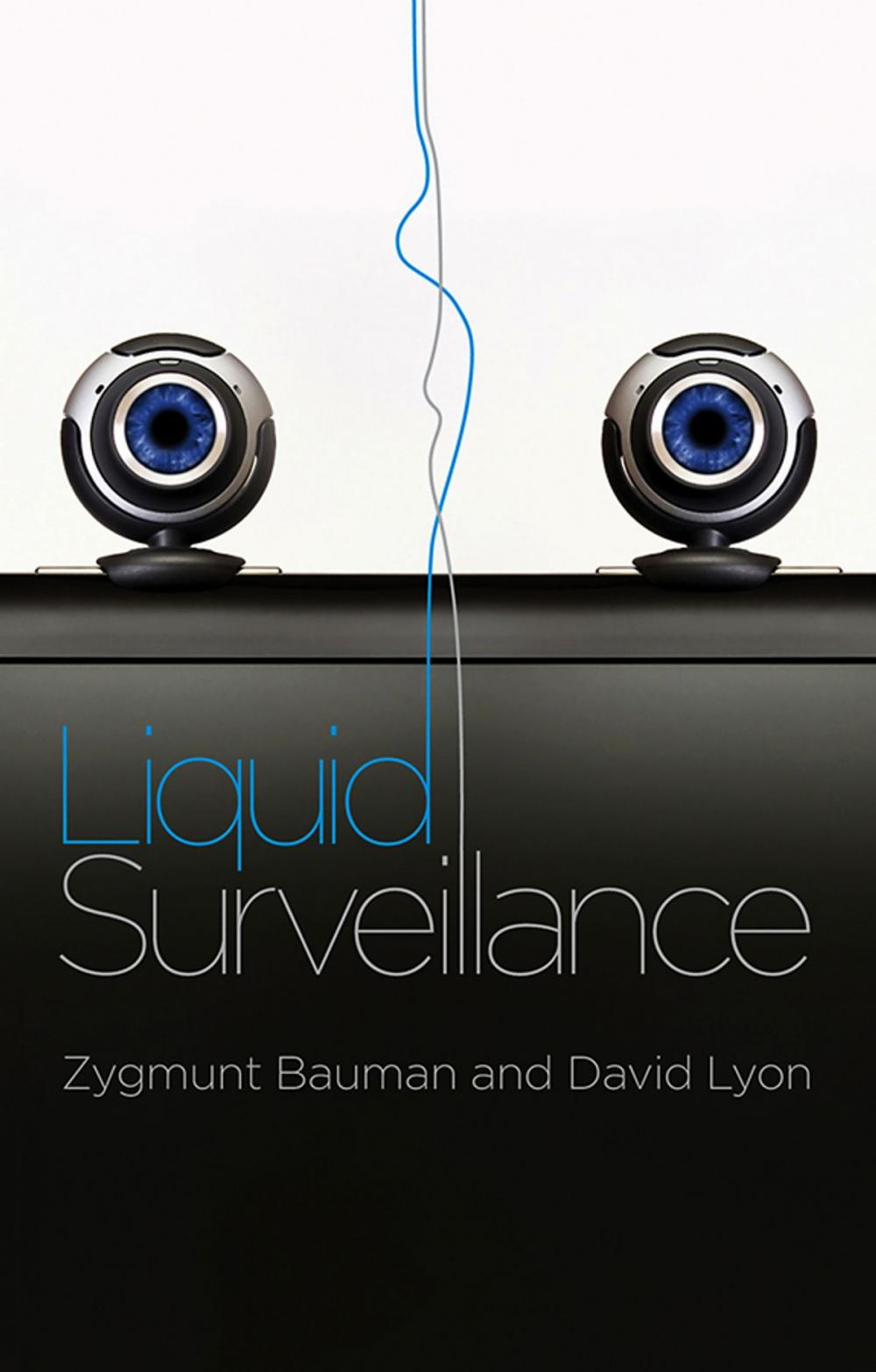 Big bigCover of Liquid Surveillance