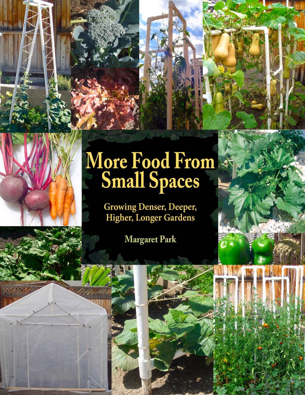 Big bigCover of More Food From Small Spaces