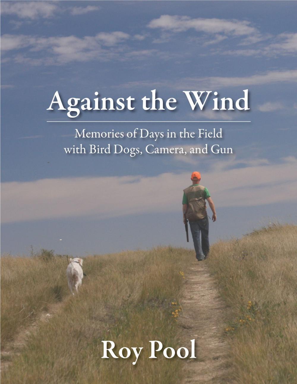 Big bigCover of Against the Wind