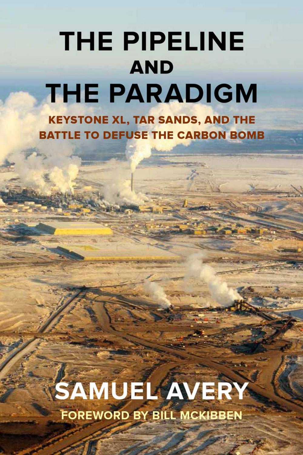 Big bigCover of The Pipeline and the Paradigm