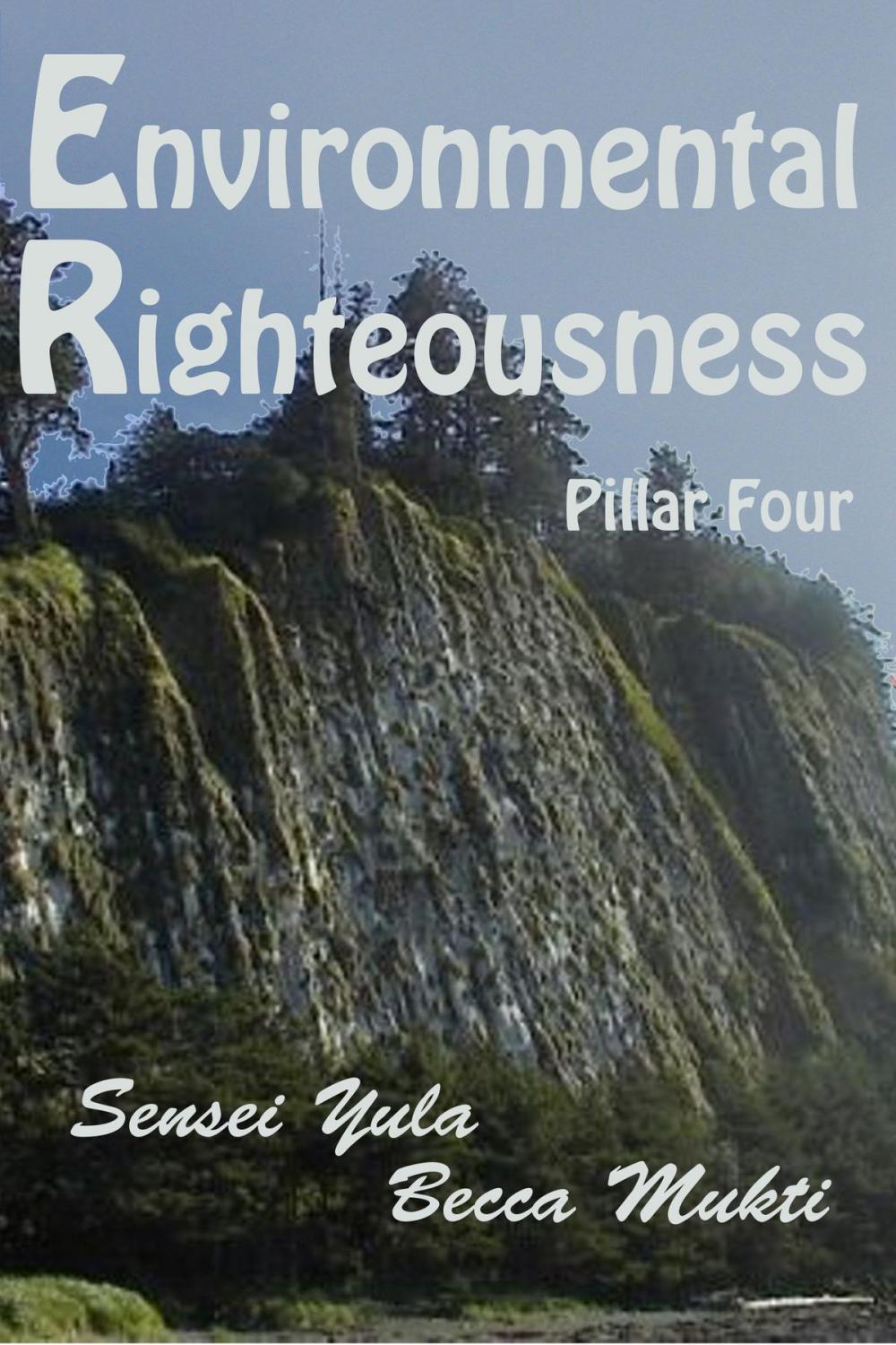 Big bigCover of Environmental Righteousness: Pillar Four