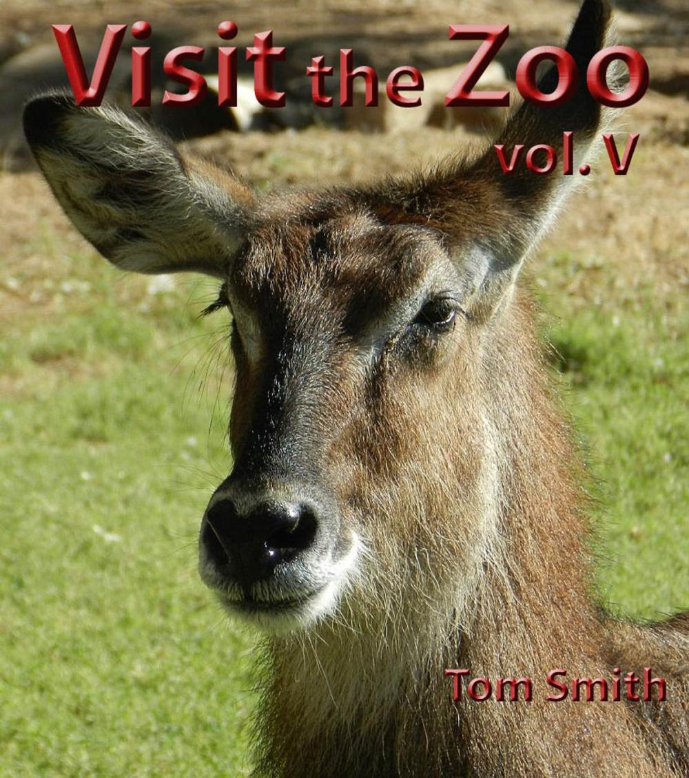Big bigCover of Visit the Zoo, vol. V
