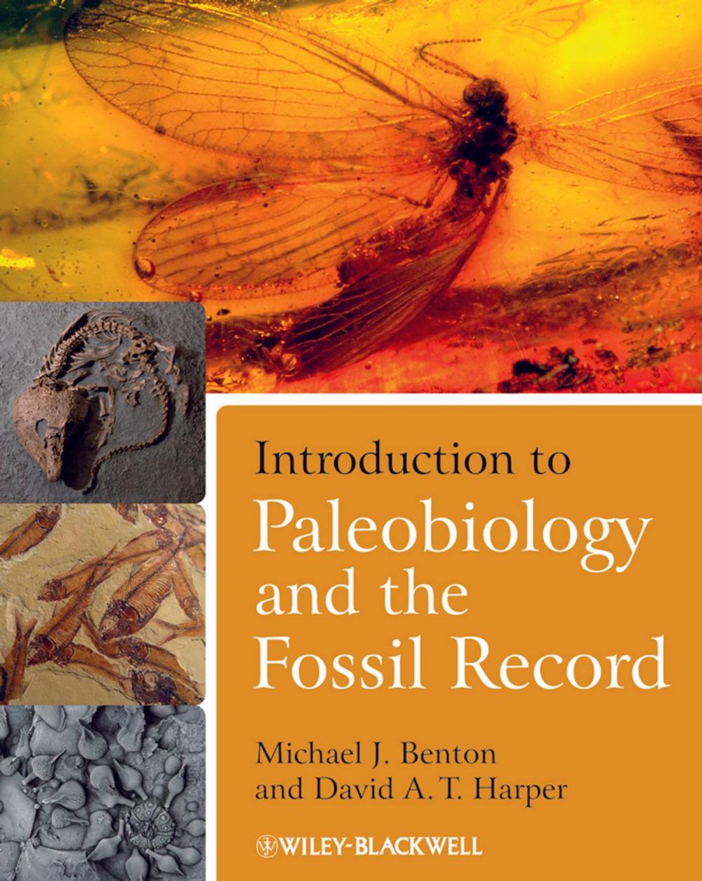 Big bigCover of Introduction to Paleobiology and the Fossil Record
