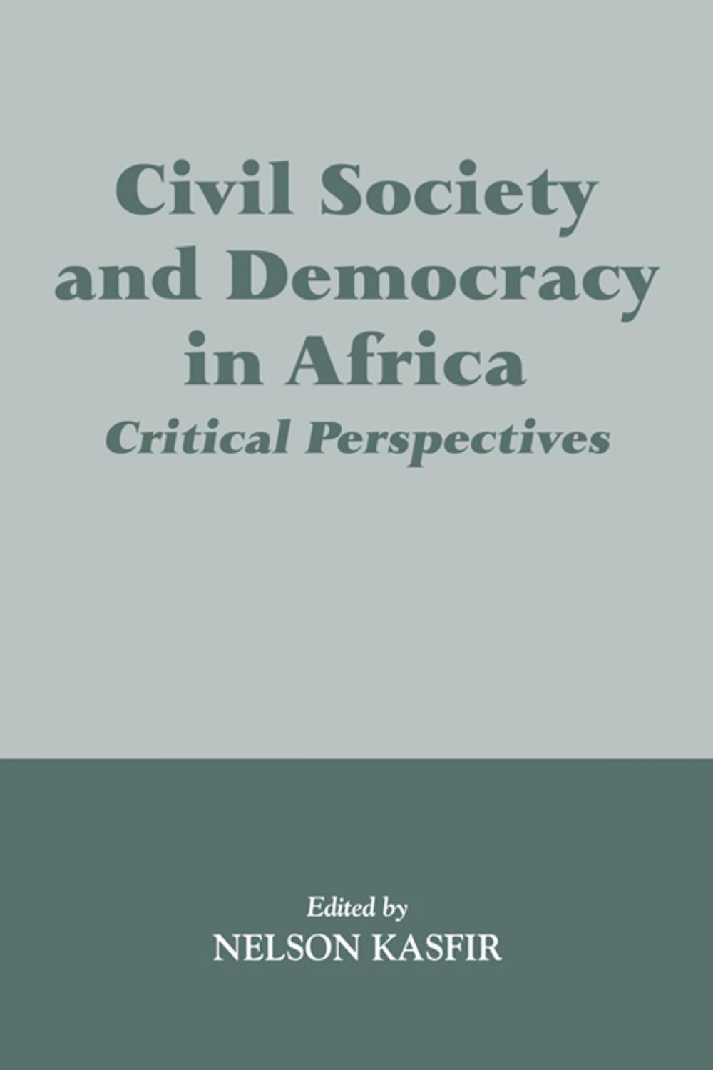 Big bigCover of Civil Society and Democracy in Africa