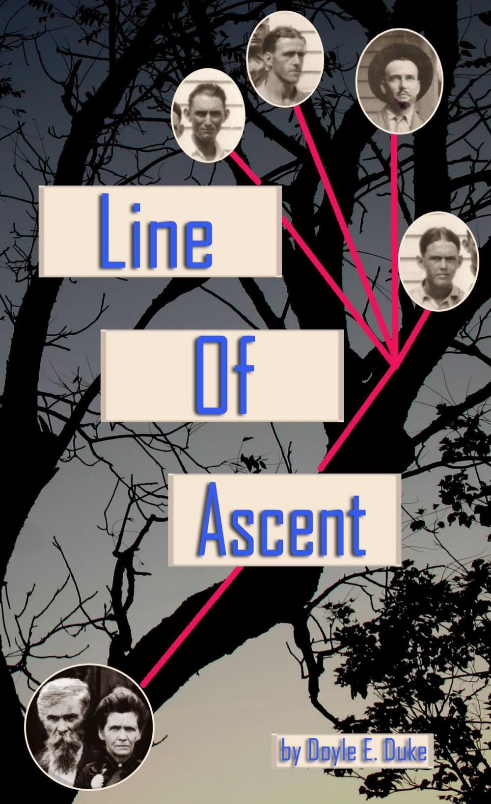Big bigCover of Line of Ascent