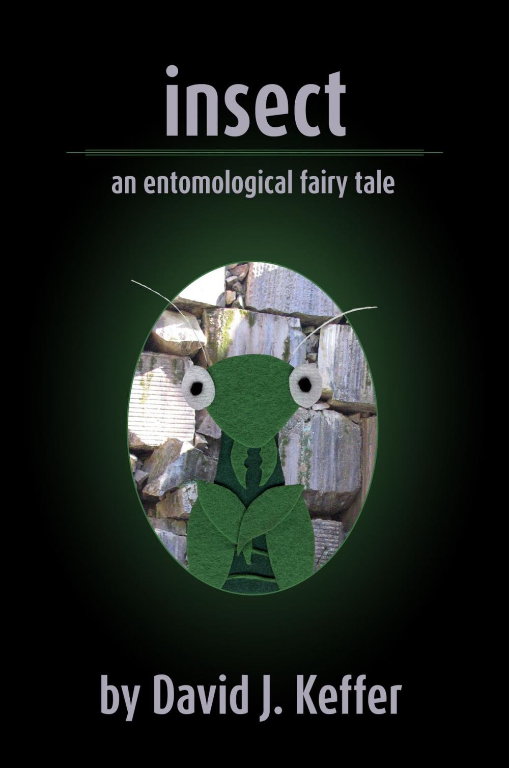 Big bigCover of Insect: An Entomological Fairy Tale