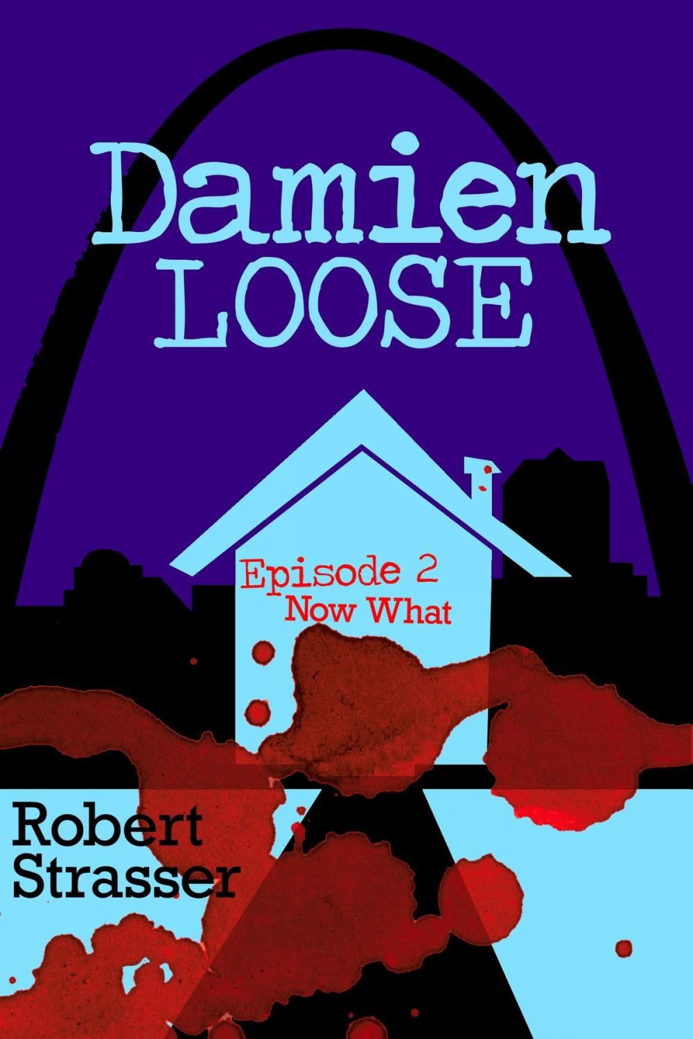 Big bigCover of Damien Loose, Episode 2: Now What?