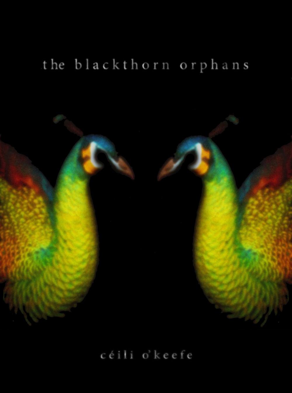 Big bigCover of The Blackthorn Orphans