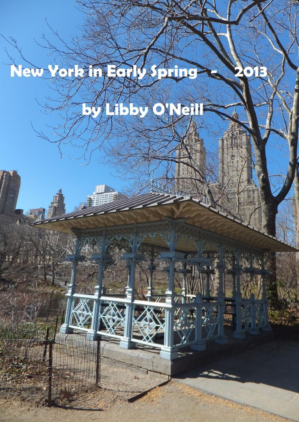 Big bigCover of New York in Early Spring: 2013