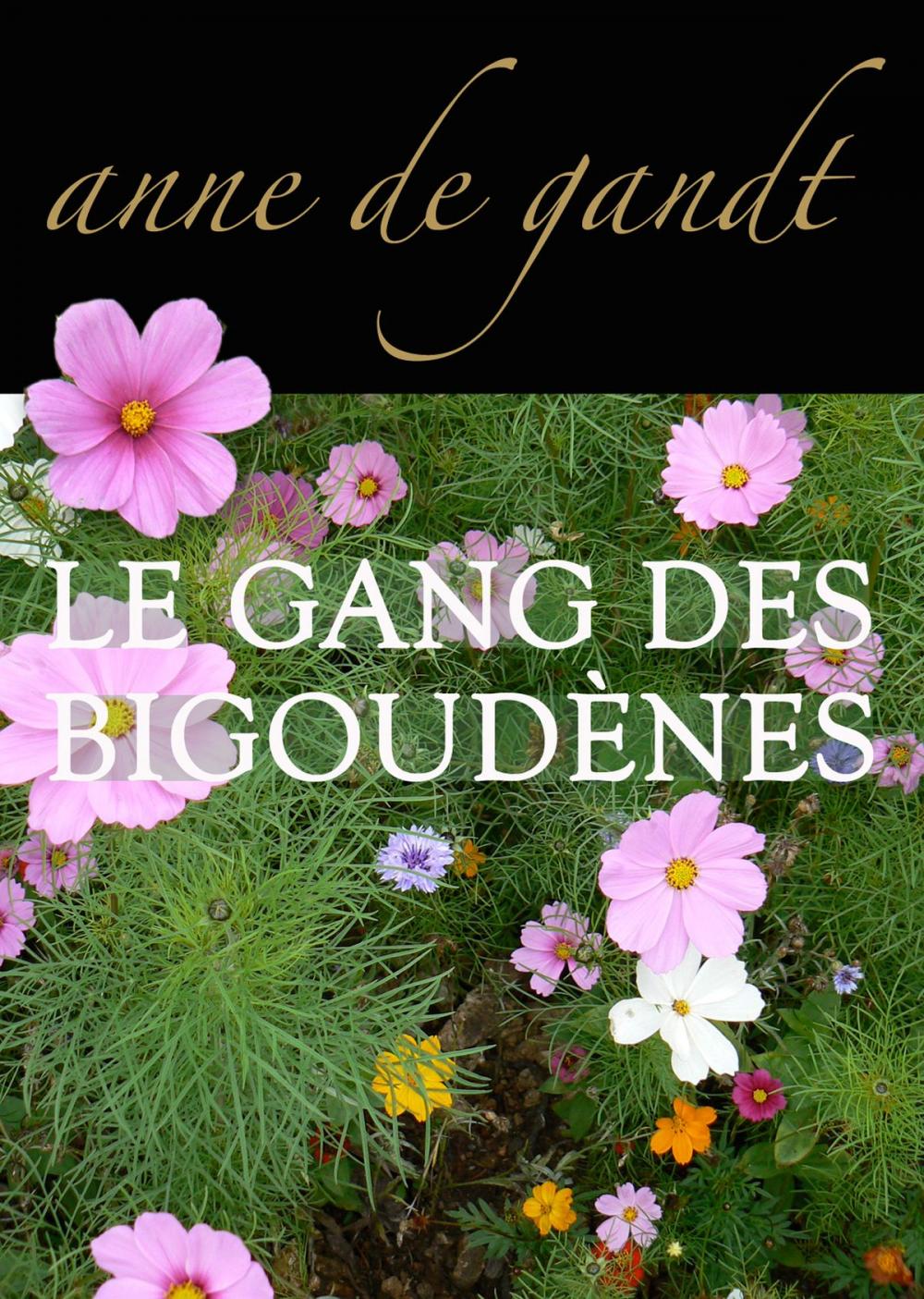 Big bigCover of Le Gang des bigoudènes (Saison 1)