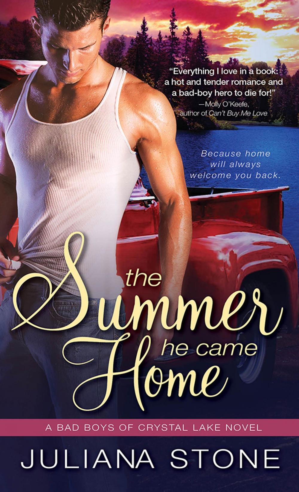 Big bigCover of The Summer He Came Home