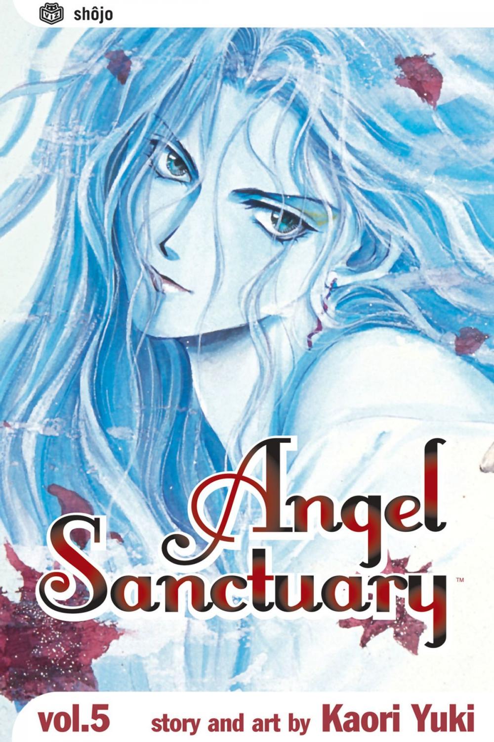 Big bigCover of Angel Sanctuary, Vol. 5