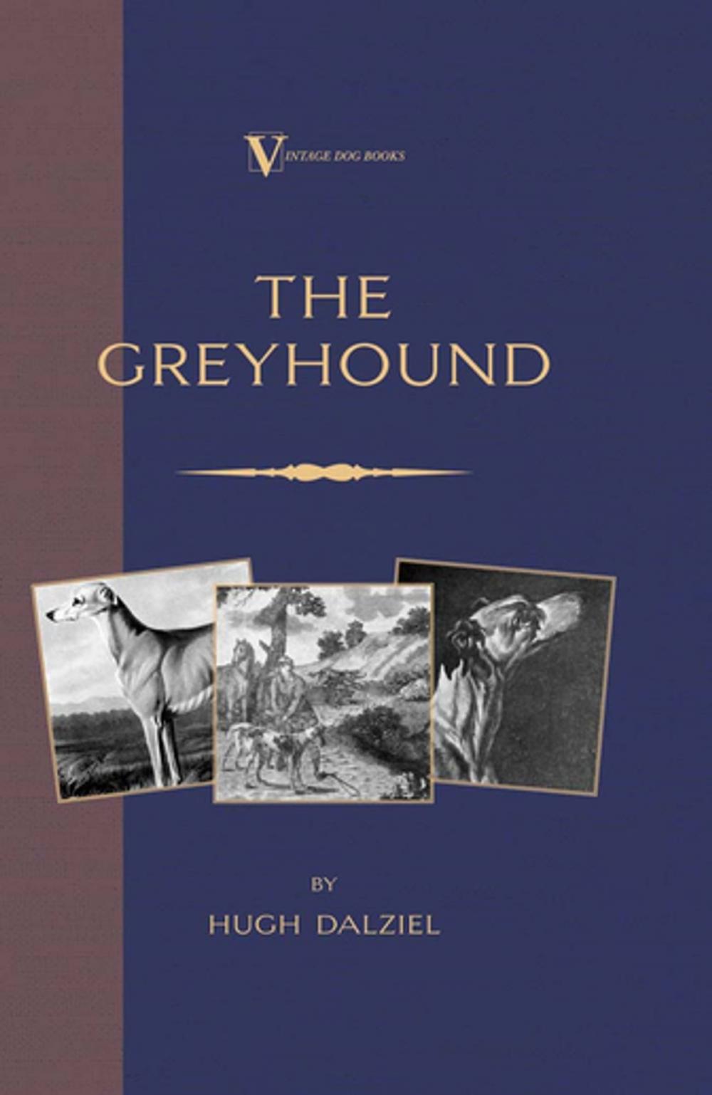 Big bigCover of The Greyhound: Breeding, Coursing, Racing, etc. (a Vintage Dog Books Breed Classic)