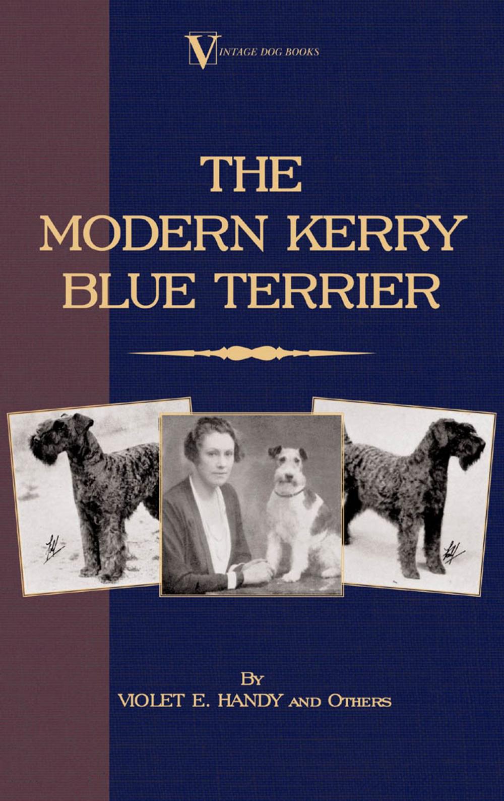 Big bigCover of The Modern Kerry Blue Terrier (A Vintage Dog Books Breed Classic)