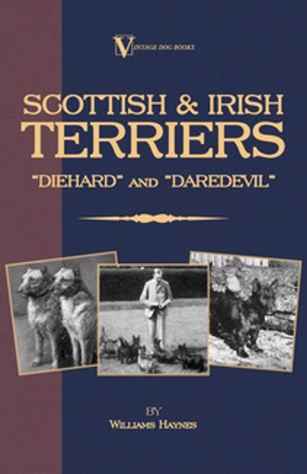 Big bigCover of Scottish Terriers and Irish Terriers - Scottie Diehard and Irish Daredevil (a Vintage Dog Books Breed Classic)