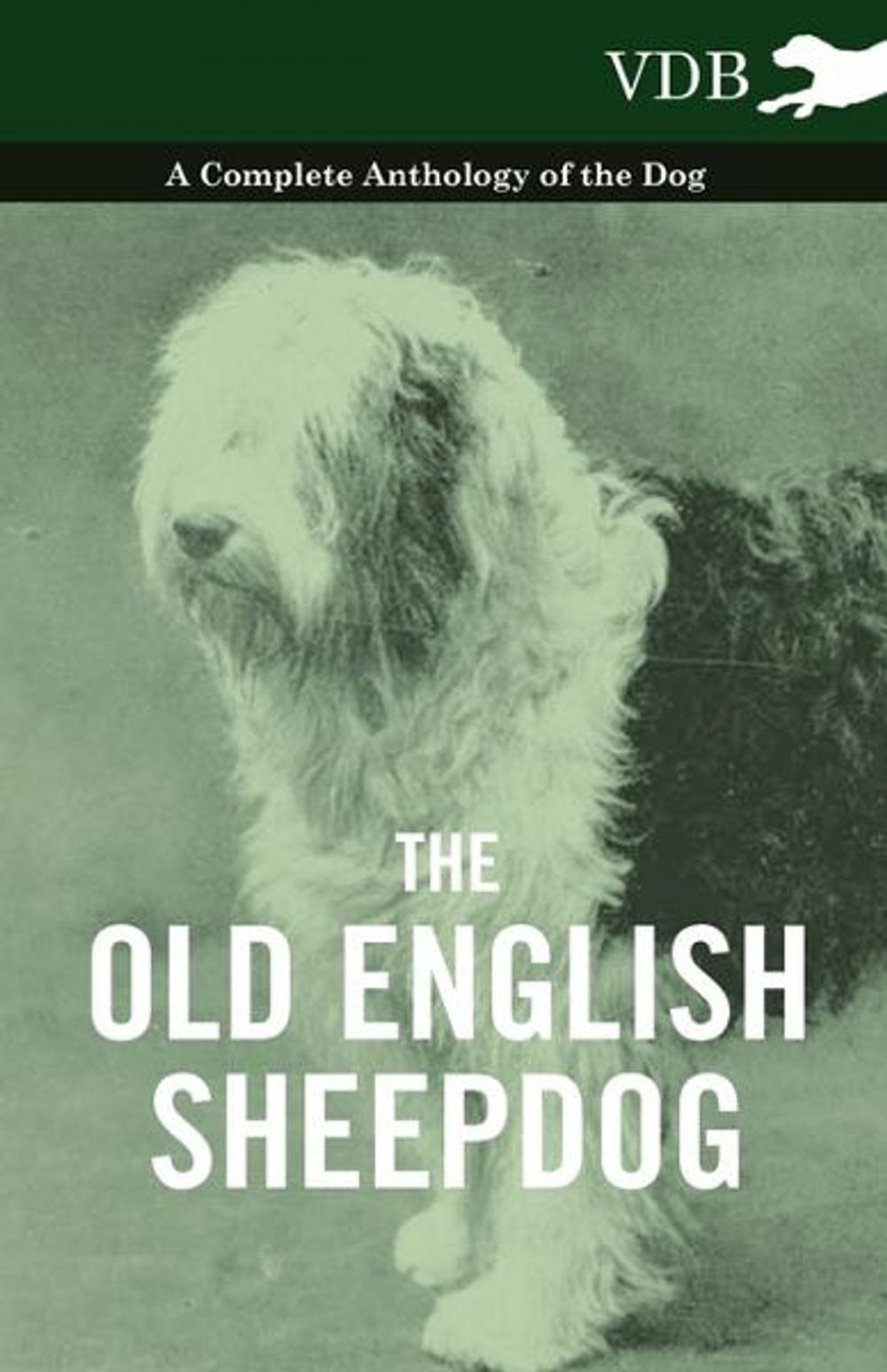 Big bigCover of The Old English Sheepdog - A Complete Anthology of the Dog