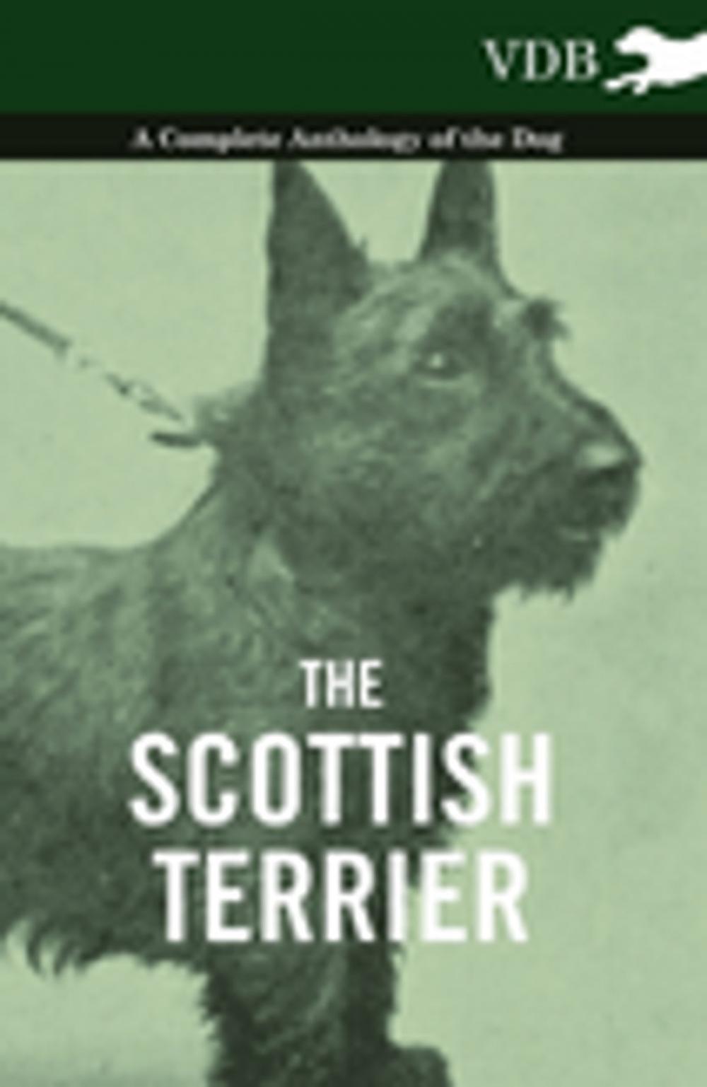 Big bigCover of The Scottish Terrier - A Complete Anthology of the Dog