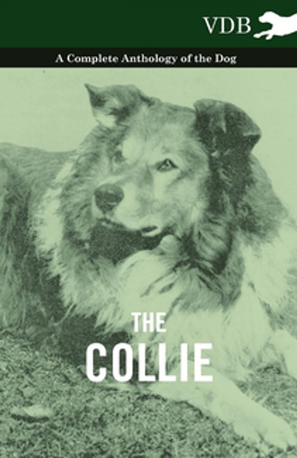 Big bigCover of The Collie - A Complete Anthology of the Dog -