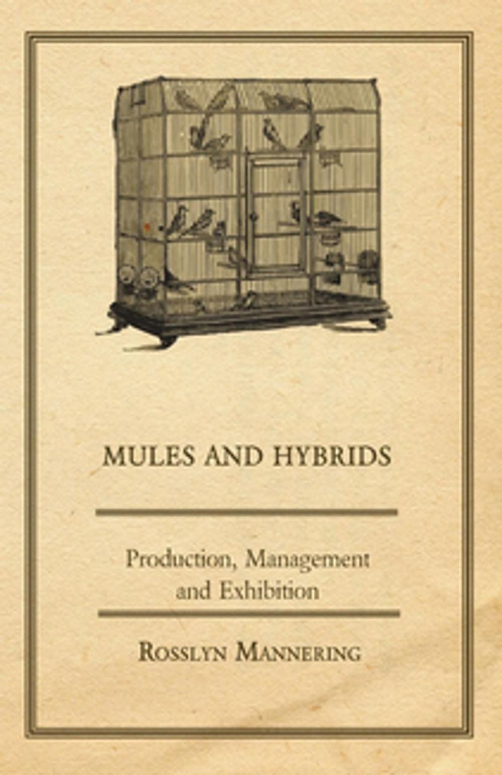 Big bigCover of Mules and Hybrids - Production, Management, & Exhibition