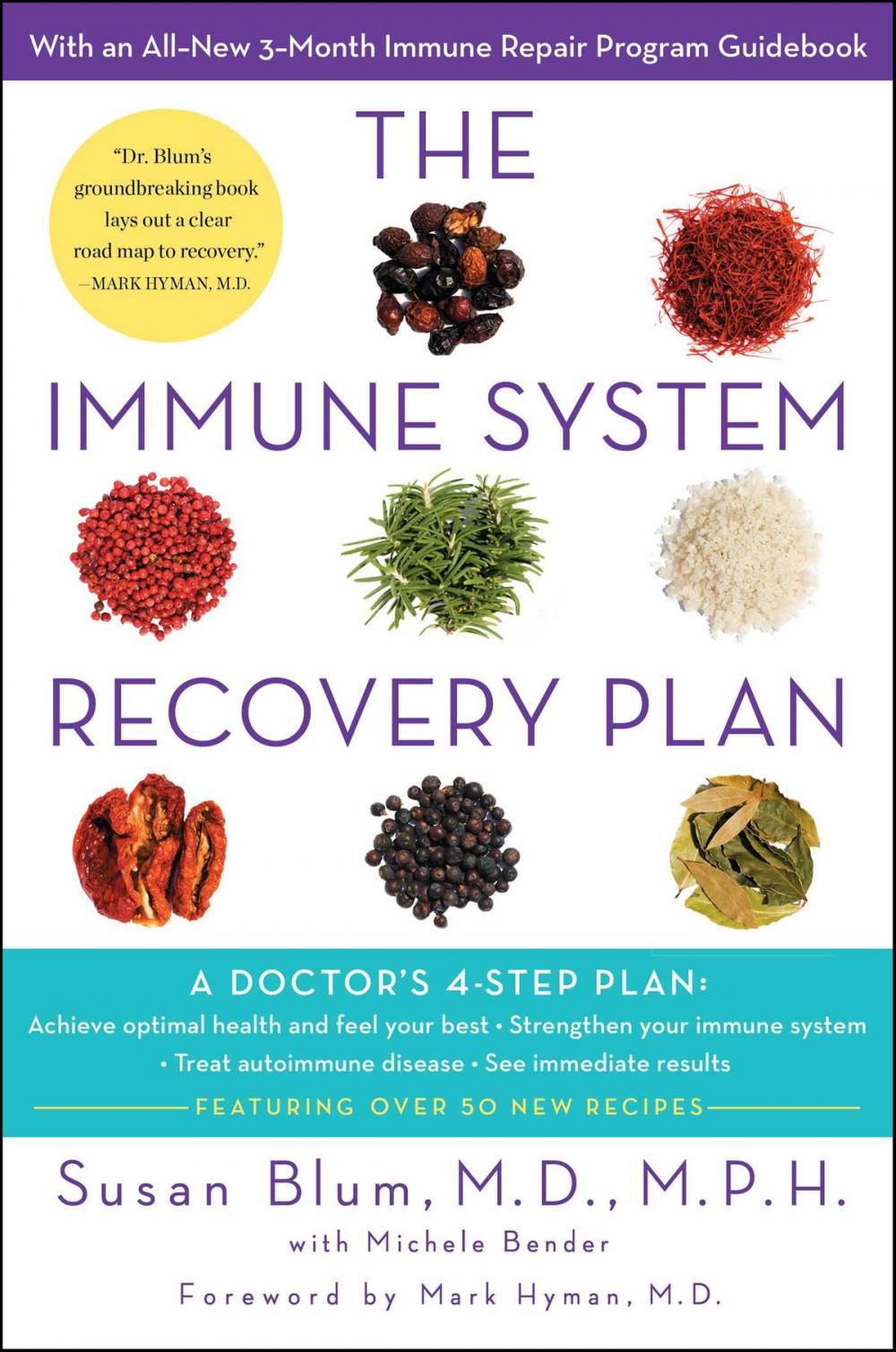 Big bigCover of The Immune System Recovery Plan
