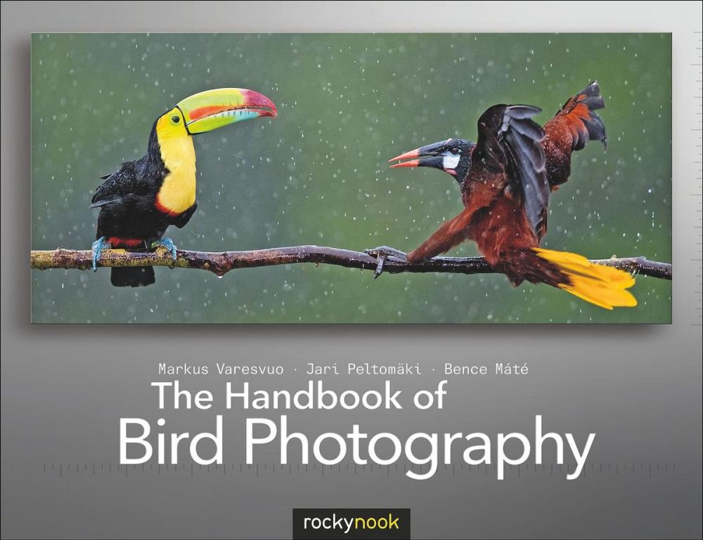 Big bigCover of The Handbook of Bird Photography