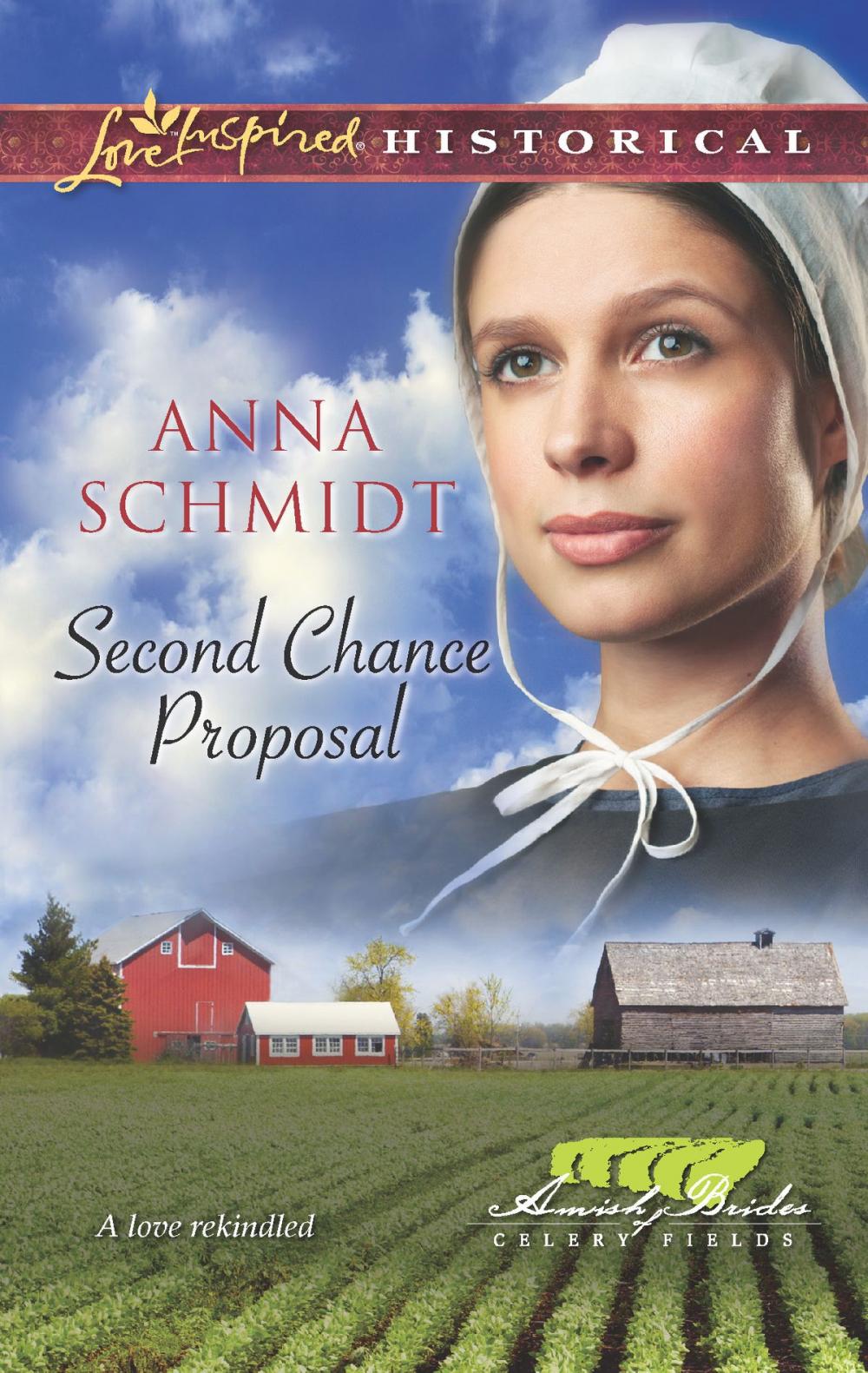 Big bigCover of Second Chance Proposal