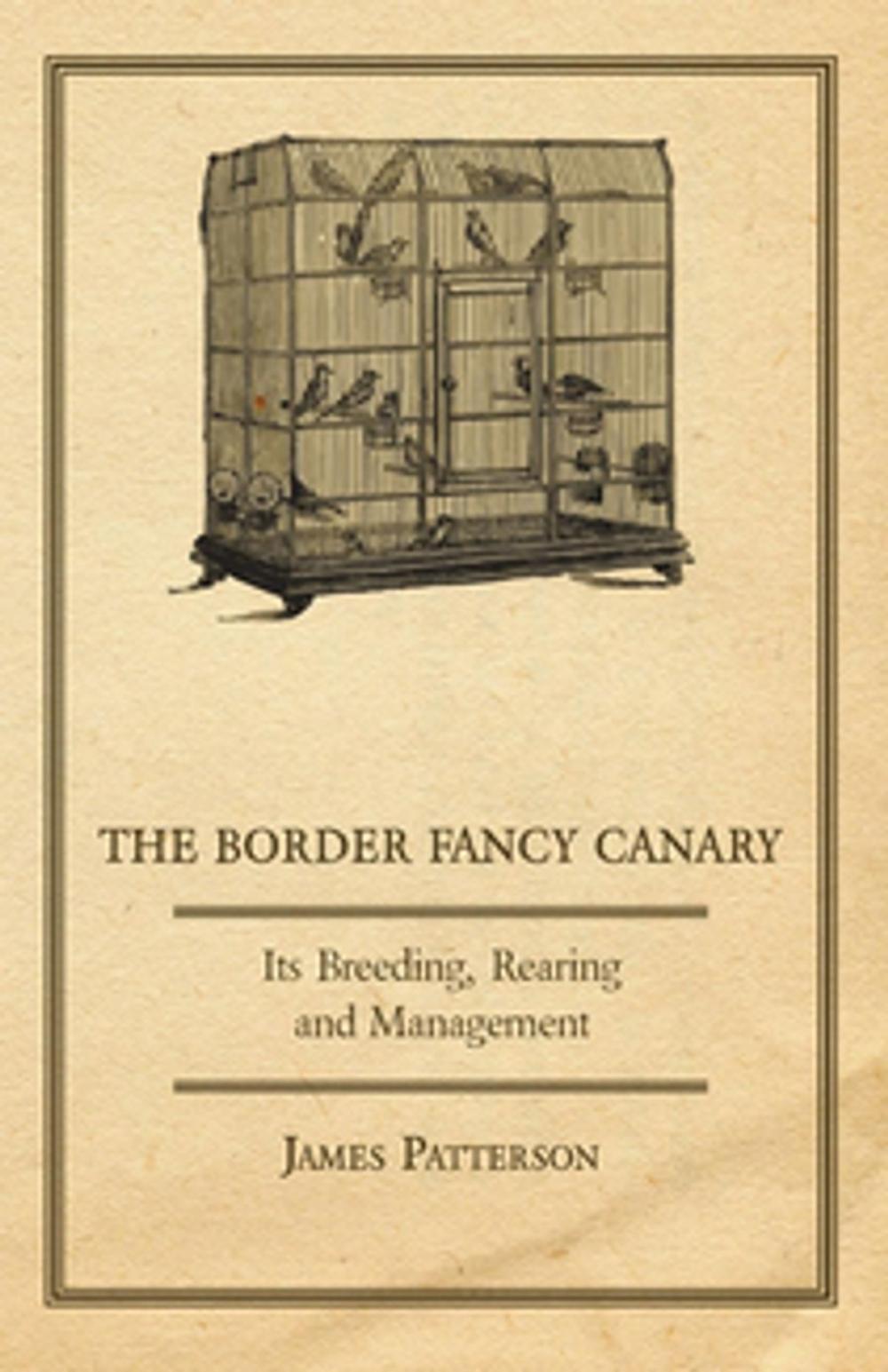 Big bigCover of The Border Fancy Canary - Its Breeding, Rearing And Management