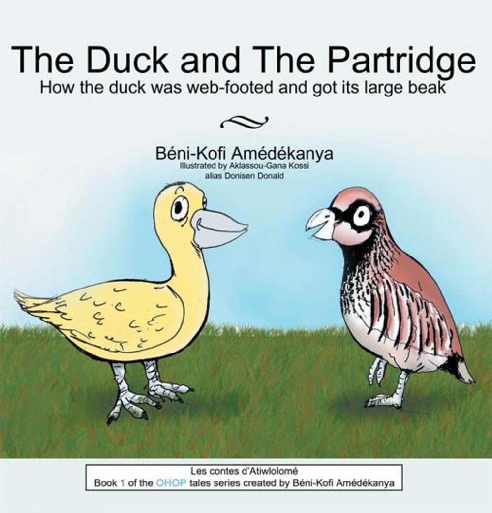 Big bigCover of The Duck and the Partridge