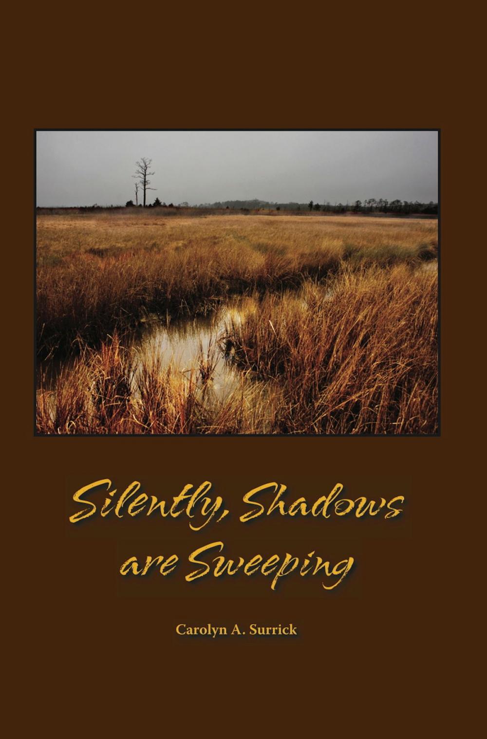 Big bigCover of Silently, Shadows are Sweeping