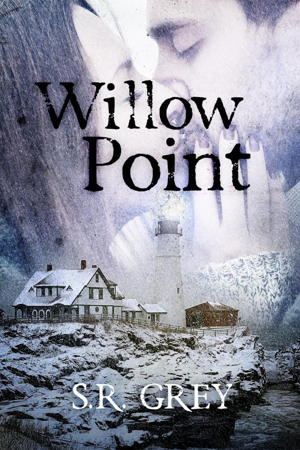 Big bigCover of Willow Point