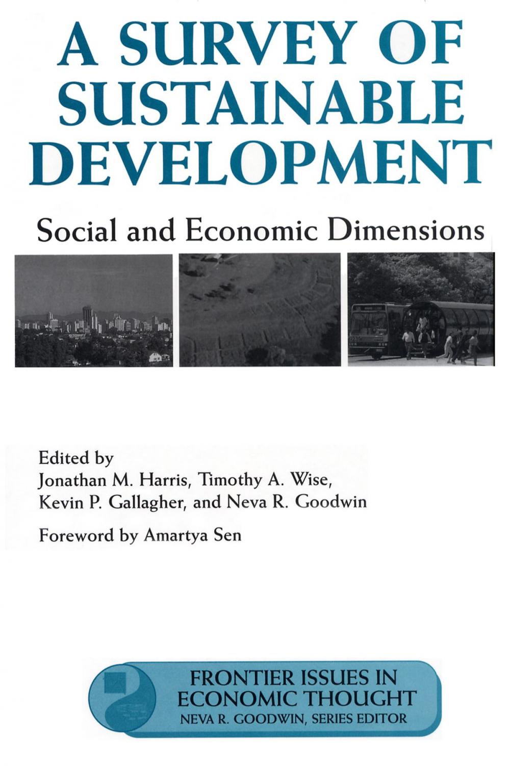 Big bigCover of A Survey of Sustainable Development