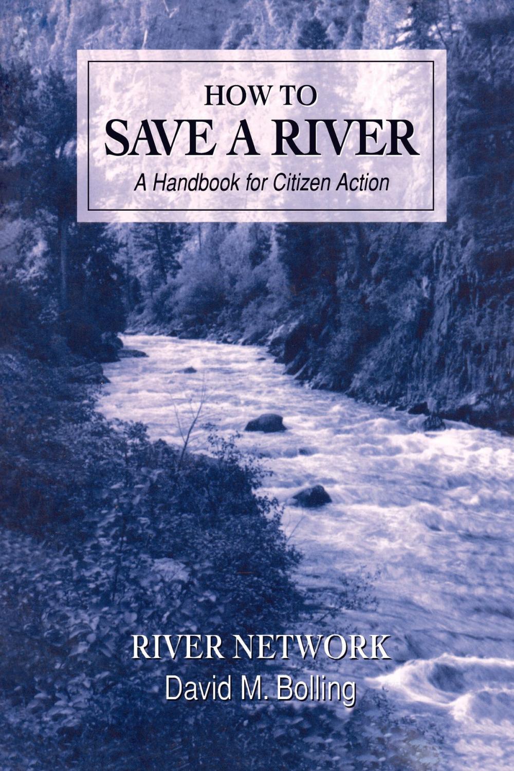 Big bigCover of How to Save a River