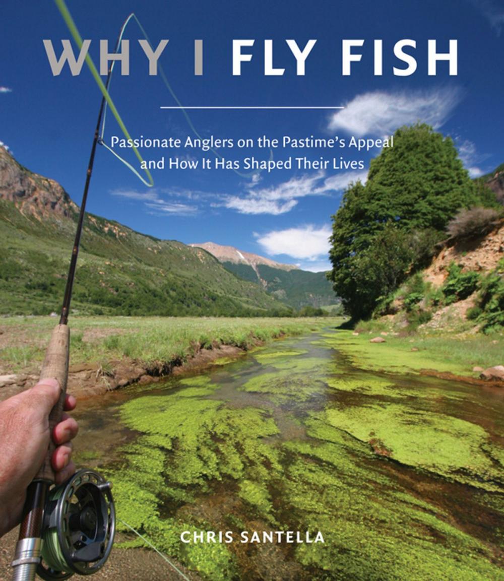 Big bigCover of Why I Fly Fish