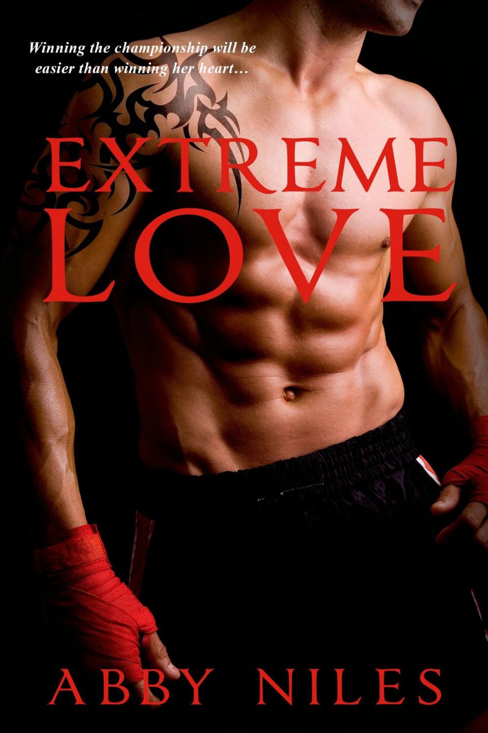 Big bigCover of Extreme Love
