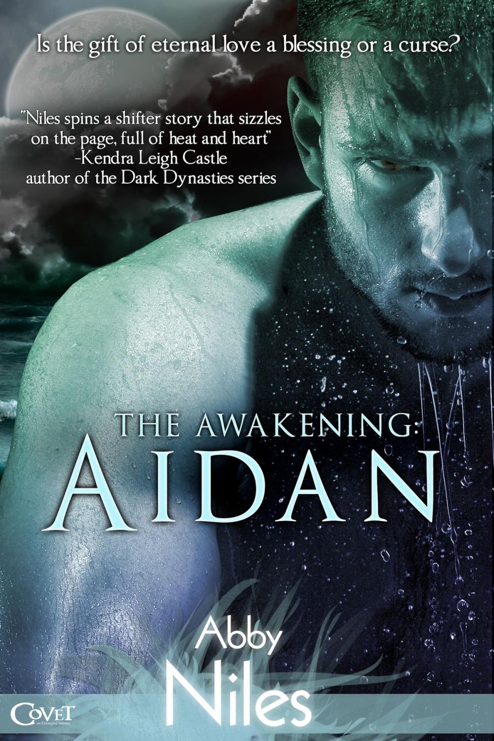 Big bigCover of The Awakening: Aidan