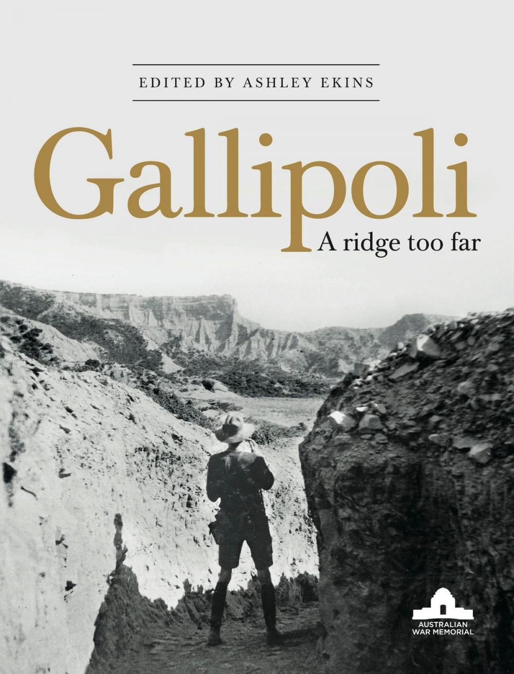 Big bigCover of Gallipoli