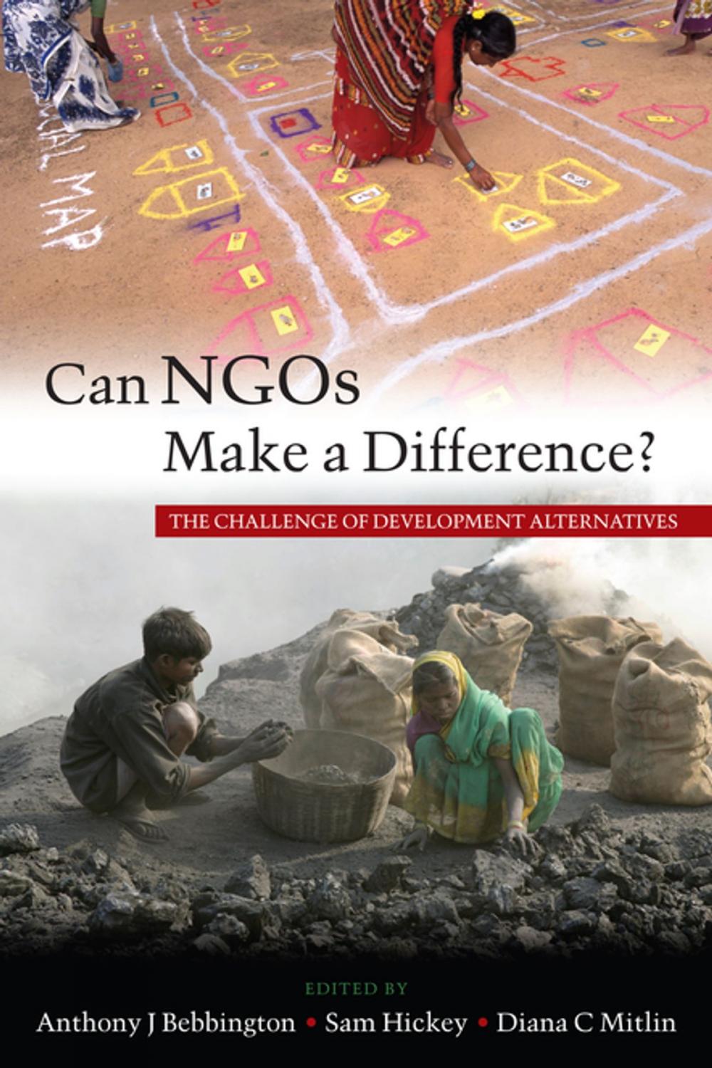 Big bigCover of Can NGOs Make a Difference?