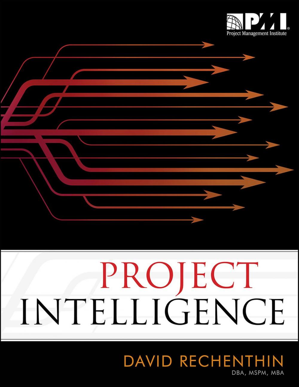 Big bigCover of Project Intelligence
