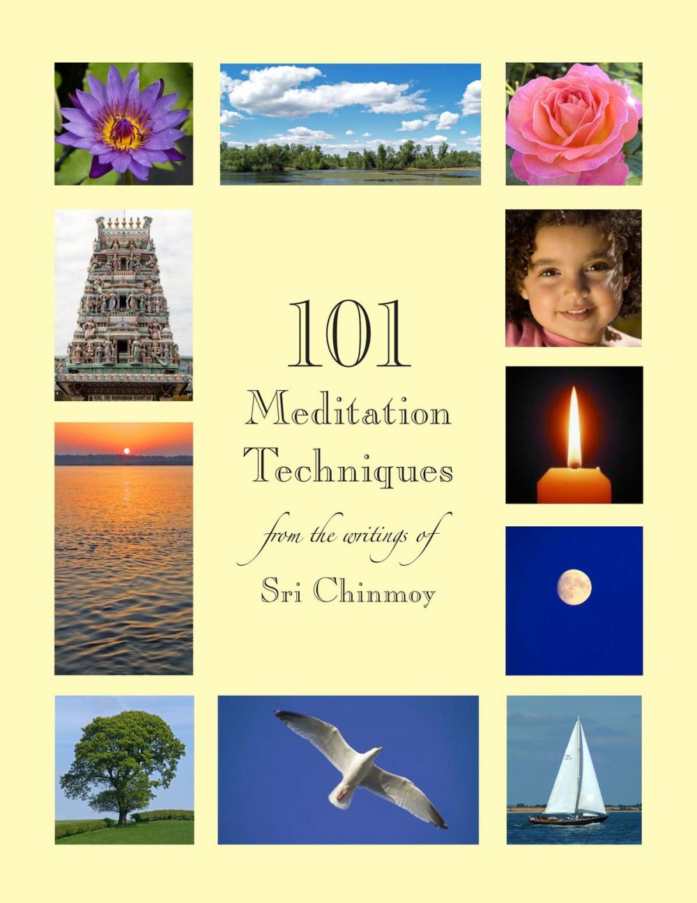Big bigCover of 101 Meditation Techniques