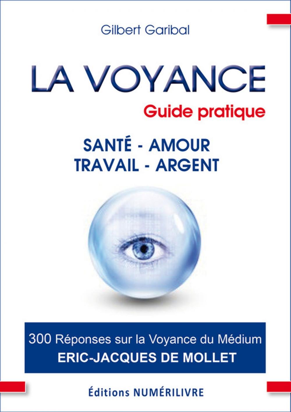 Big bigCover of La voyance guide pratique