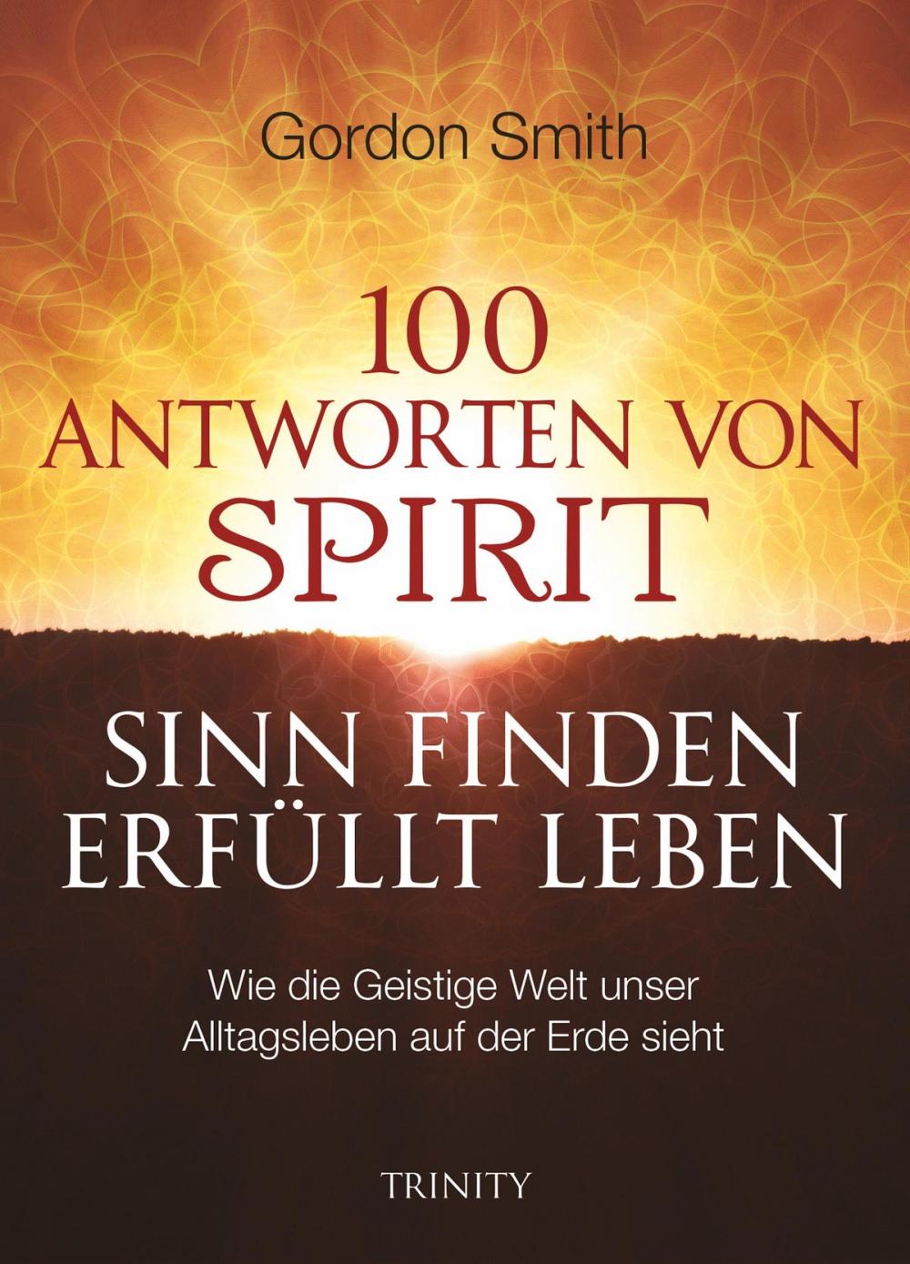 Big bigCover of 100 ANTWORTEN VON SPIRIT: SINN FINDEN, ERFÜLLT LEBEN