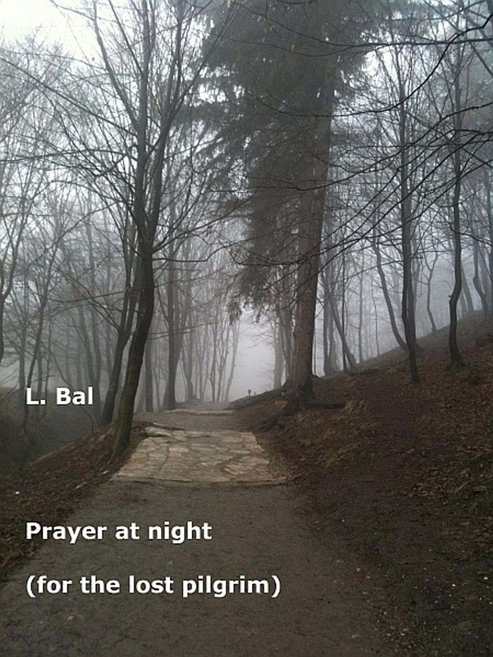 Big bigCover of Prayer at night