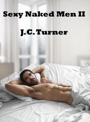 Book cover of Sexy Naked Men II