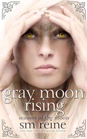 Cover of the book Gray Moon Rising by Anna Sanders