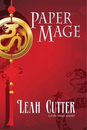 Cover of the book Paper Mage by Sunny Franson